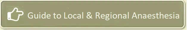 Local and Regional Anaesthesia Services